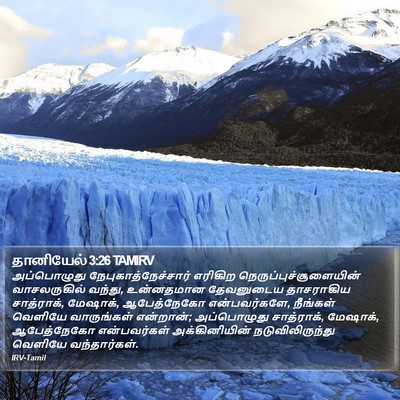 தானியேல் 3:26 TAMIRV Bible Verse Image