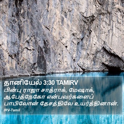 தானியேல் 3:30 TAMIRV Bible Verse Image