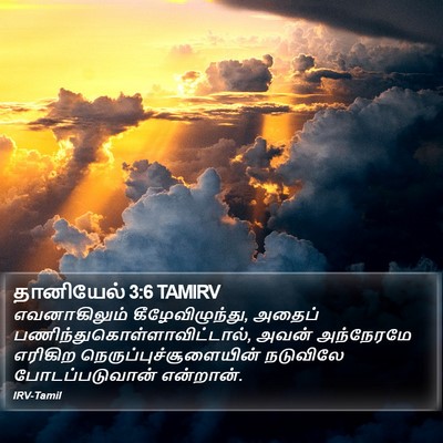 தானியேல் 3:6 TAMIRV Bible Verse Image