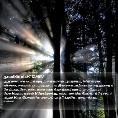 தானியேல் 3:7 TAMIRV Bible Verse Image