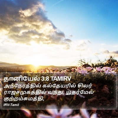 தானியேல் 3:8 TAMIRV Bible Verse Image