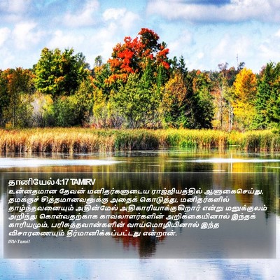 தானியேல் 4:17 TAMIRV Bible Verse Image
