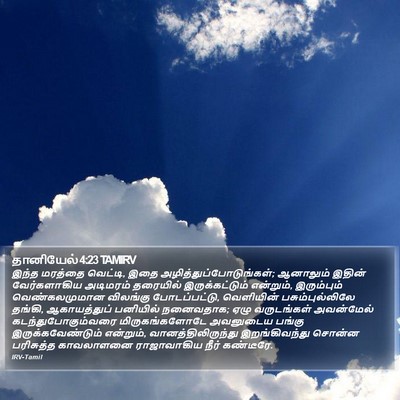 தானியேல் 4:23 TAMIRV Bible Verse Image