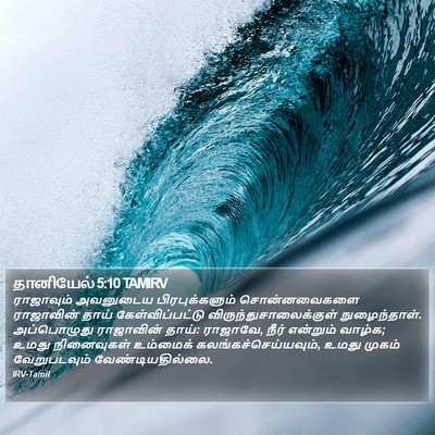 தானியேல் 5:10 TAMIRV Bible Verse Image