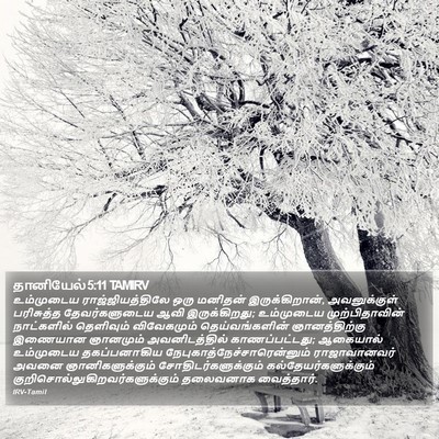 தானியேல் 5:11 TAMIRV Bible Verse Image