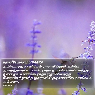 தானியேல் 5:13 TAMIRV Bible Verse Image
