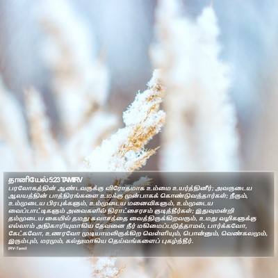 தானியேல் 5:23 TAMIRV Bible Verse Image