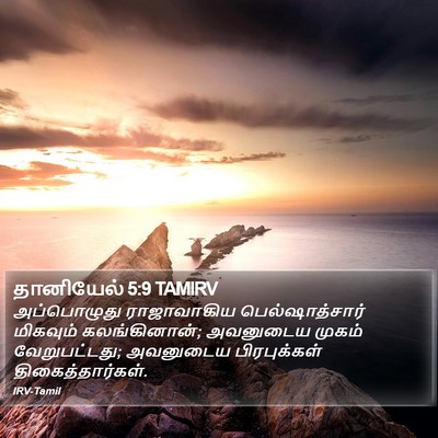 தானியேல் 5:9 TAMIRV Bible Verse Image