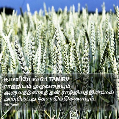 தானியேல் 6:1 TAMIRV Bible Verse Image