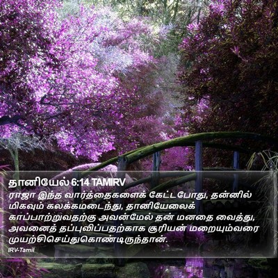 தானியேல் 6:14 TAMIRV Bible Verse Image