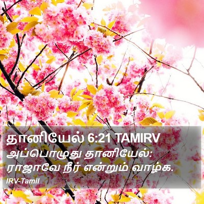 தானியேல் 6:21 TAMIRV Bible Verse Image