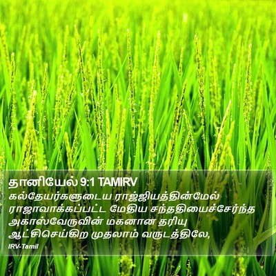 தானியேல் 9:1 TAMIRV Bible Verse Image