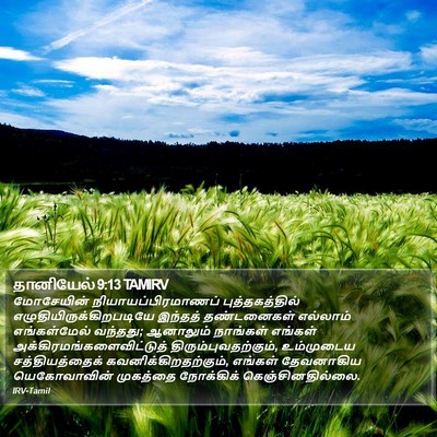 தானியேல் 9:13 TAMIRV Bible Verse Image