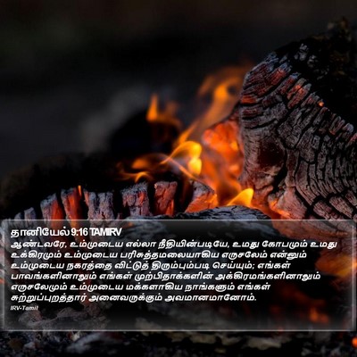 தானியேல் 9:16 TAMIRV Bible Verse Image