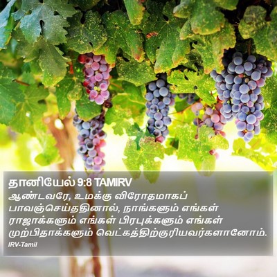தானியேல் 9:8 TAMIRV Bible Verse Image