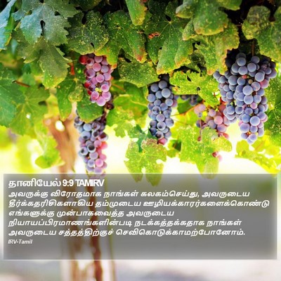 தானியேல் 9:9 TAMIRV Bible Verse Image
