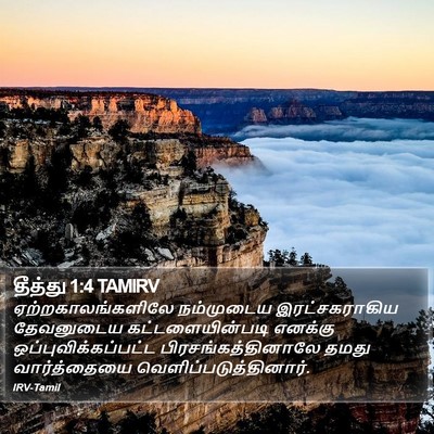 தீத்து 1:4 TAMIRV Bible Verse Image
