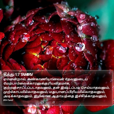 தீத்து 1:7 TAMIRV Bible Verse Image