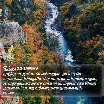 தீத்து 2:3 TAMIRV Bible Verse Image