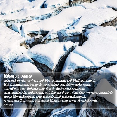 தீத்து 3:3 TAMIRV Bible Verse Image