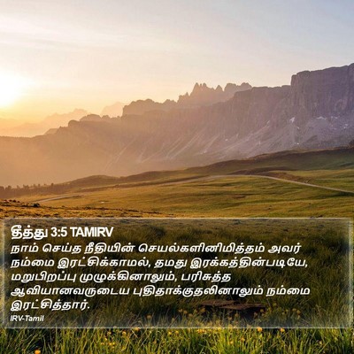 தீத்து 3:5 TAMIRV Bible Verse Image