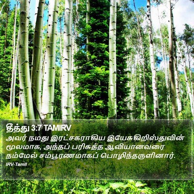 தீத்து 3:7 TAMIRV Bible Verse Image