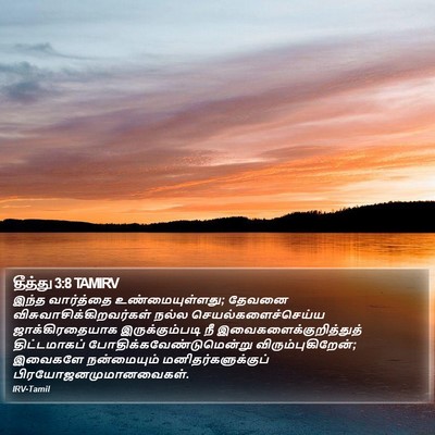 தீத்து 3:8 TAMIRV Bible Verse Image
