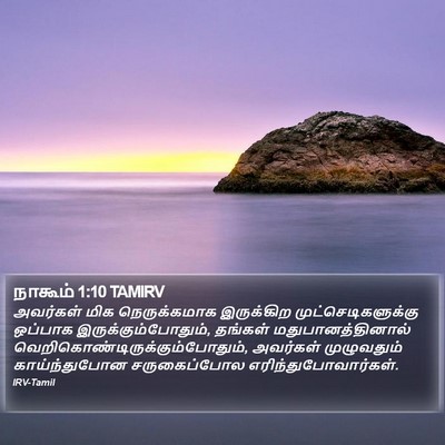 நாகூம் 1:10 TAMIRV Bible Verse Image