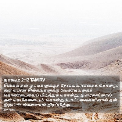 நாகூம் 2:12 TAMIRV Bible Verse Image