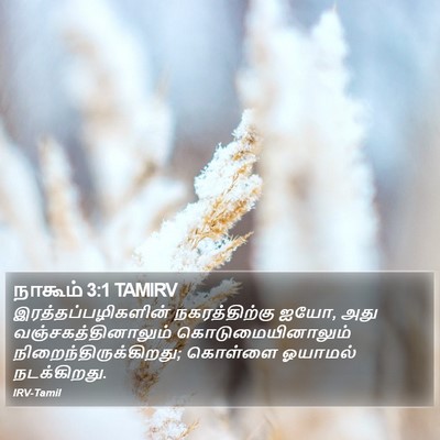 நாகூம் 3:1 TAMIRV Bible Verse Image