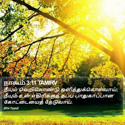 நாகூம் 3:11 TAMIRV Bible Verse Image
