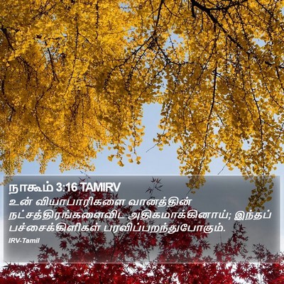 நாகூம் 3:16 TAMIRV Bible Verse Image