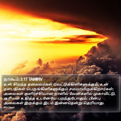 நாகூம் 3:17 TAMIRV Bible Verse Image