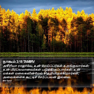 நாகூம் 3:18 TAMIRV Bible Verse Image