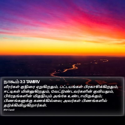 நாகூம் 3:3 TAMIRV Bible Verse Image