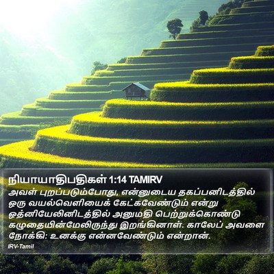 நியாயாதிபதிகள் 1:14 TAMIRV Bible Verse Image
