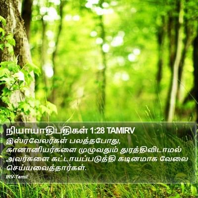நியாயாதிபதிகள் 1:28 TAMIRV Bible Verse Image