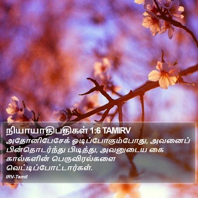 நியாயாதிபதிகள் 1:6 TAMIRV Bible Verse Image