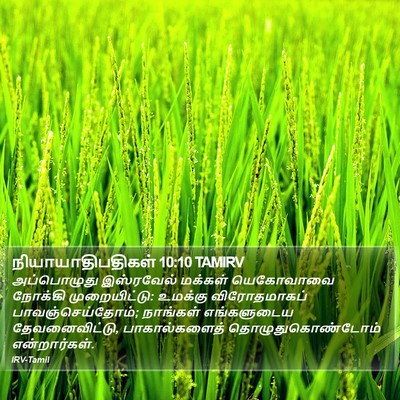 நியாயாதிபதிகள் 10:10 TAMIRV Bible Verse Image