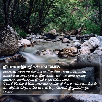 நியாயாதிபதிகள் 10:4 TAMIRV Bible Verse Image