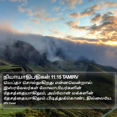 நியாயாதிபதிகள் 11:15 TAMIRV Bible Verse Image