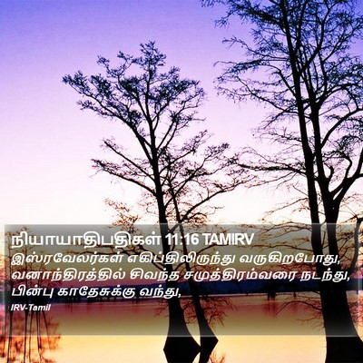 நியாயாதிபதிகள் 11:16 TAMIRV Bible Verse Image