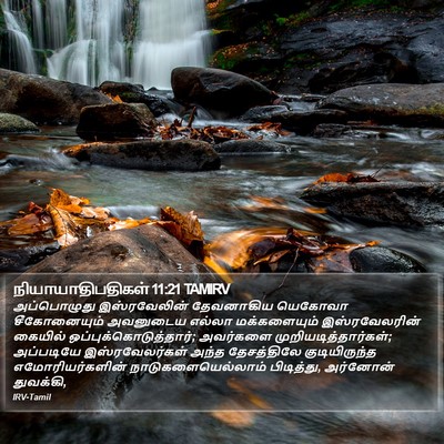 நியாயாதிபதிகள் 11:21 TAMIRV Bible Verse Image