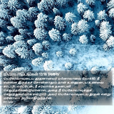 நியாயாதிபதிகள் 13:16 TAMIRV Bible Verse Image