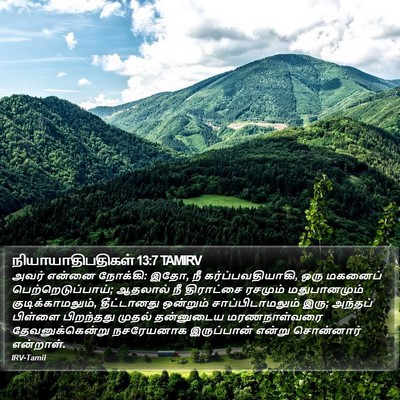 நியாயாதிபதிகள் 13:7 TAMIRV Bible Verse Image