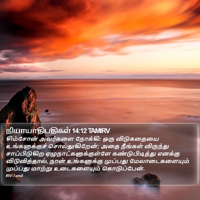 நியாயாதிபதிகள் 14:12 TAMIRV Bible Verse Image
