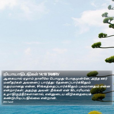 நியாயாதிபதிகள் 14:18 TAMIRV Bible Verse Image