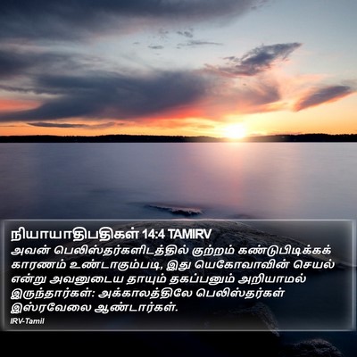 நியாயாதிபதிகள் 14:4 TAMIRV Bible Verse Image