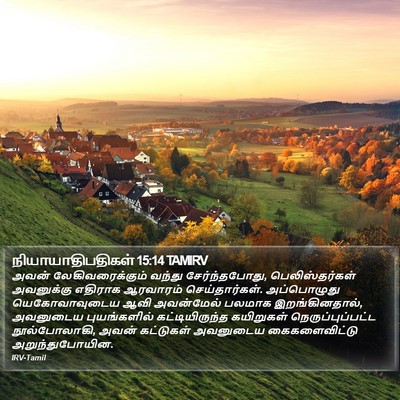 நியாயாதிபதிகள் 15:14 TAMIRV Bible Verse Image