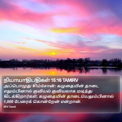 நியாயாதிபதிகள் 15:16 TAMIRV Bible Verse Image